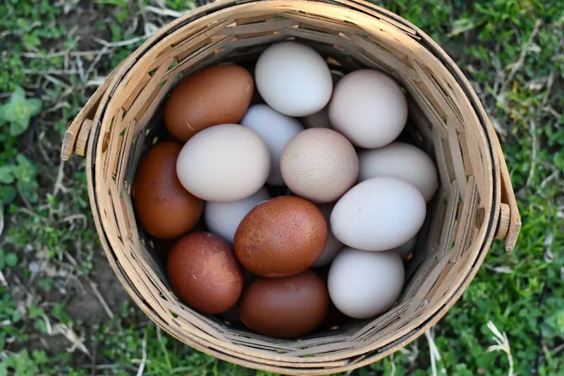 A basket of brown eggs